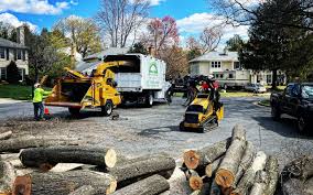 Best Tree Maintenance Programs  in Omro, WI